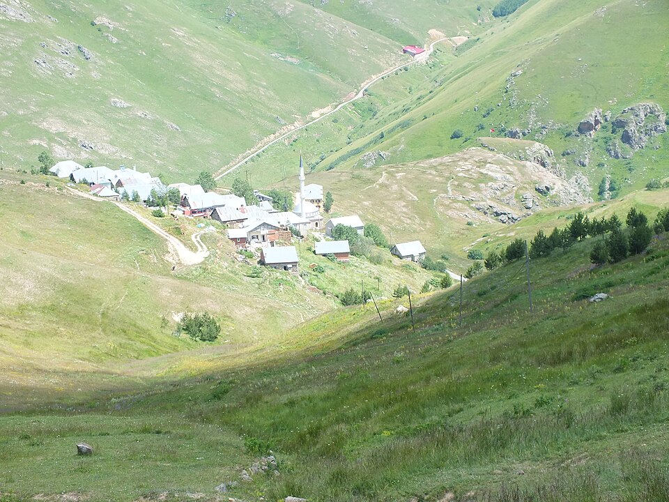 Karadeniz'in Yeşili
