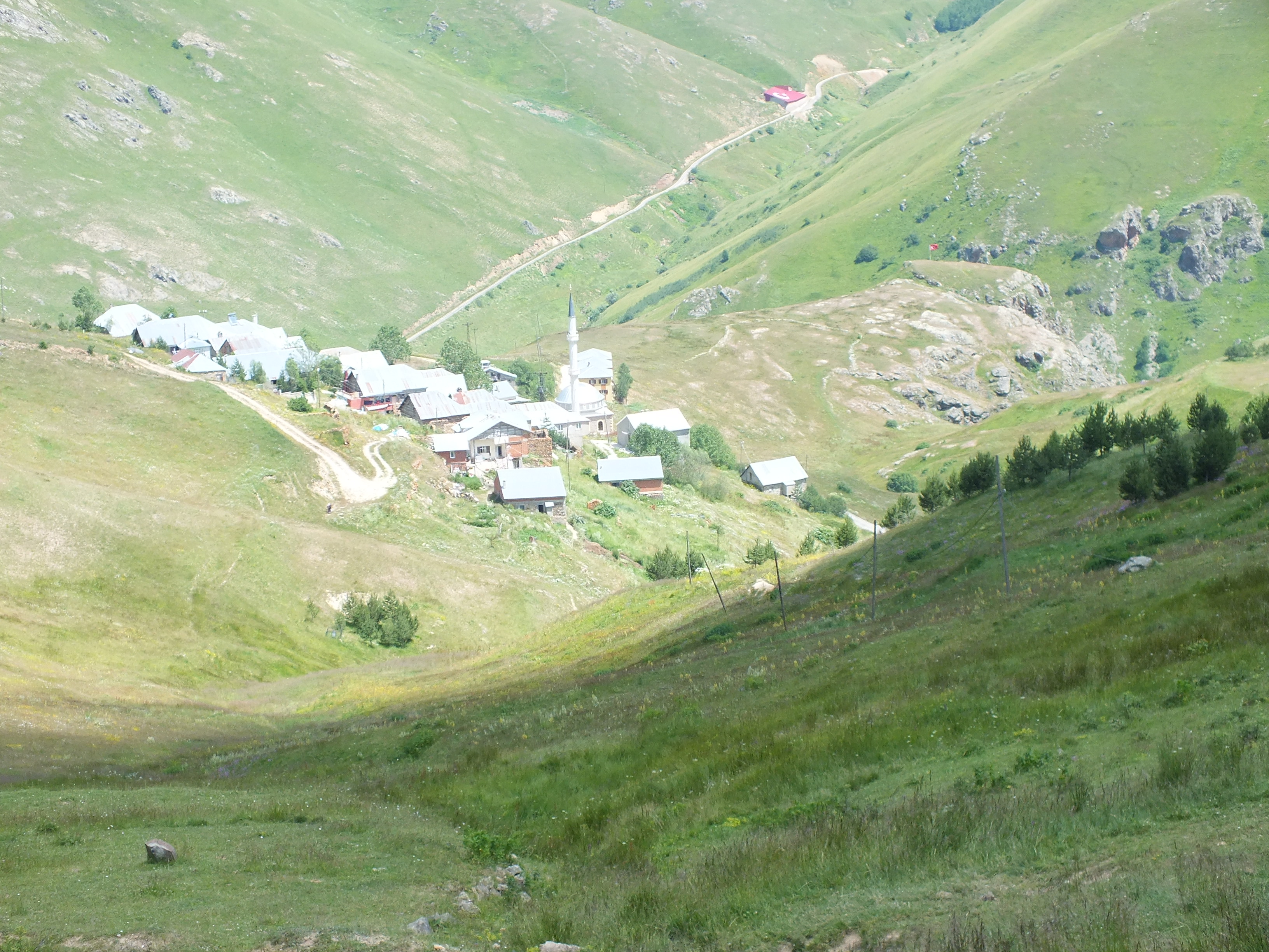 Karadeniz'in Yeşili